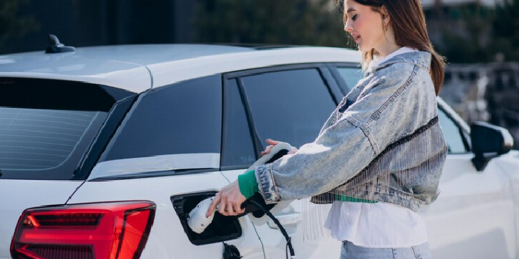 Quels type de borne de recharge avec délestage dynamique choisir pour son domicile ?